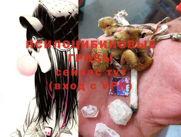 MDMA Premium VHQ Балахна