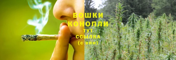 прущие крисы Баксан