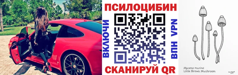 купить   Спасск-Дальний  Галлюциногенные грибы мицелий 
